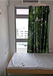 Evergreen View (D14), Apartment #555472021